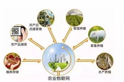 鄉(xiāng)村規(guī)劃設(shè)計(jì)丨中國農(nóng)業(yè)十大戰(zhàn)略布局 風(fēng)口、獨(dú)角獸與投資熱點(diǎn)深度解析